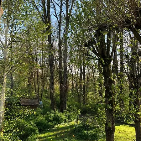 La Grange Des Cimaises De Janvry *